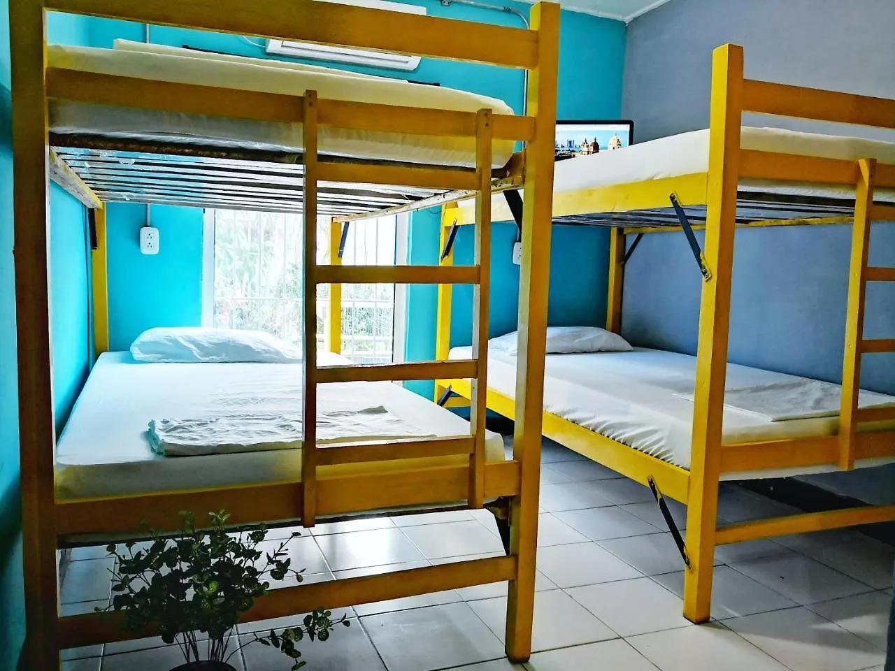 **  Cartagena Friends Hostel Colombia